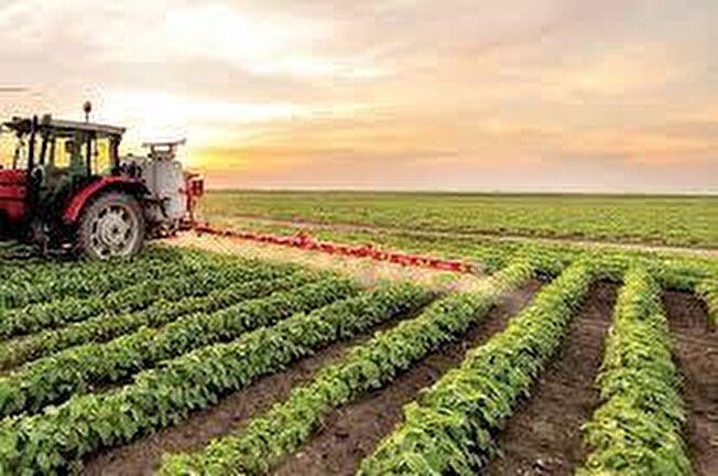 انتقال فناوری به حوزه کشاورزی باید در دستور کار قرار گیرد
