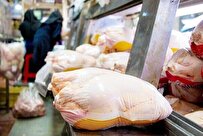 خرید ۳ هزار تن گوشت مرغ از واحد‌های تولیدی گیلان