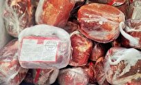 یک هزار و ۷۰ تن گوشت منجمد در لرستان ذخیره سازی شد